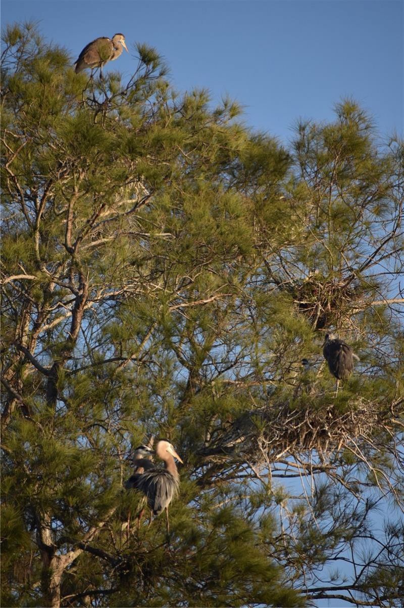 3863 Catalina Drive , Bradenton, FL 34210 Photo