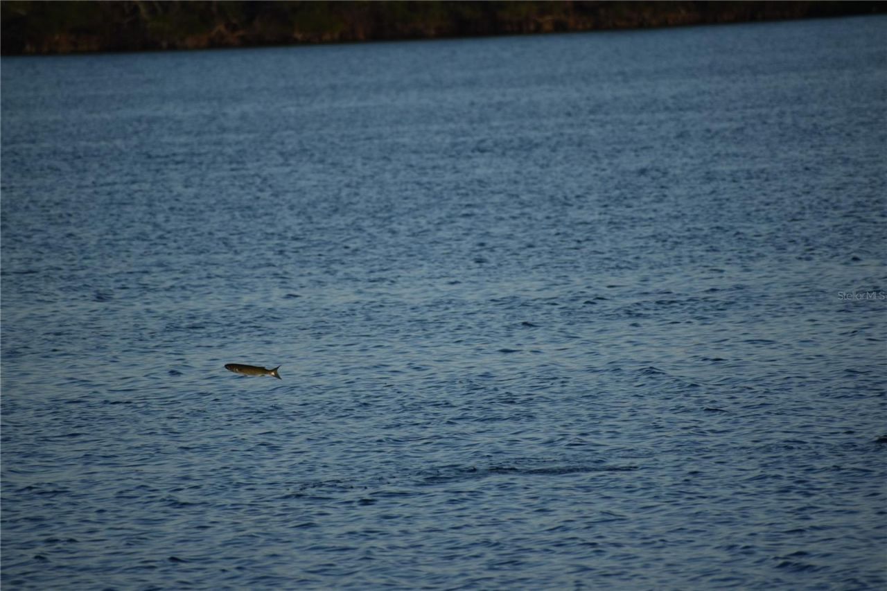 3863 Catalina Drive , Bradenton, FL 34210 Photo