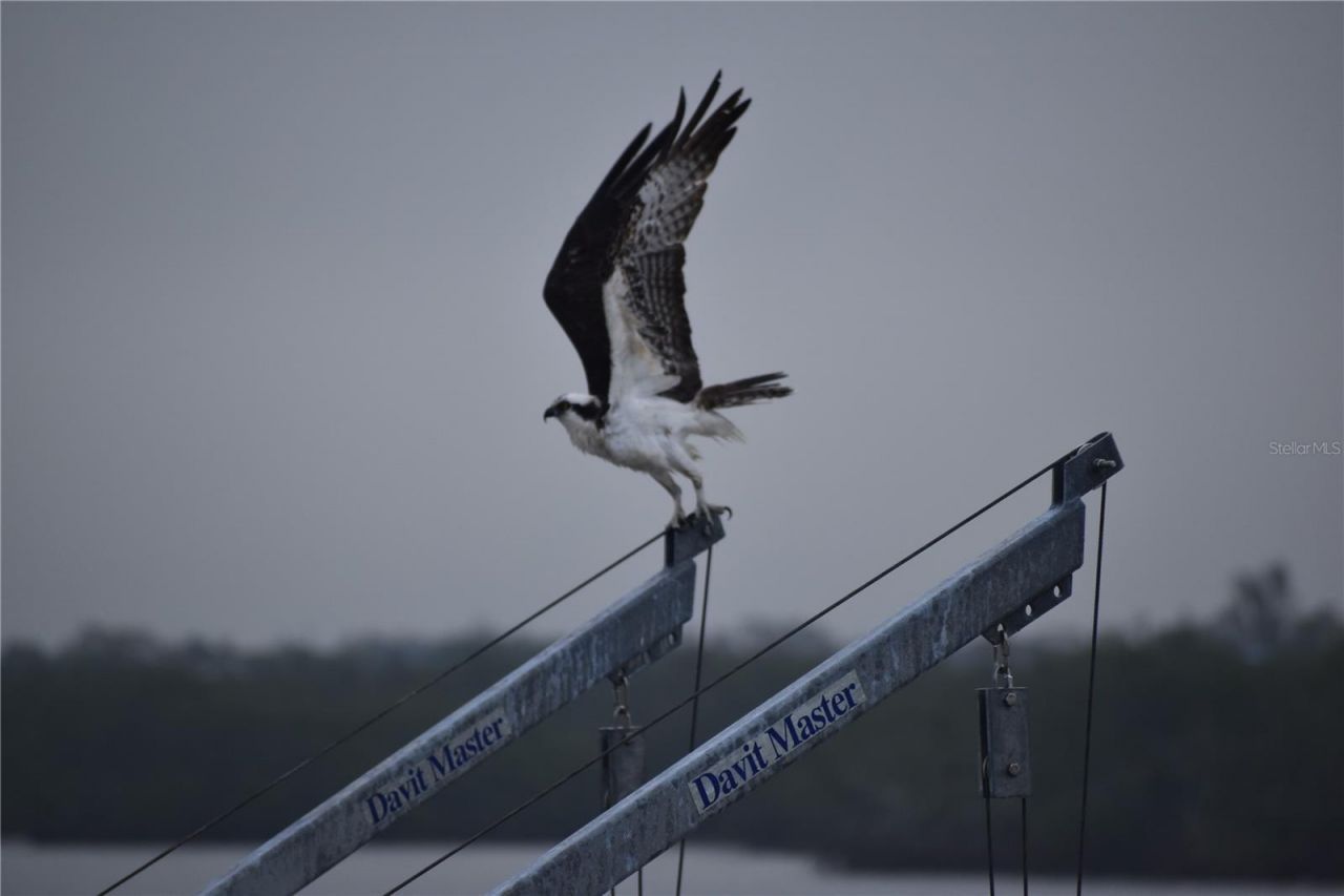 3863 Catalina Drive , Bradenton, FL 34210 Photo