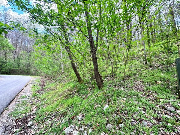 0 Lakeview Dr , Smithville, TN 37166