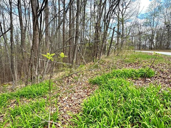 0 Coconut Ridge Rd , Smithville, TN 37166