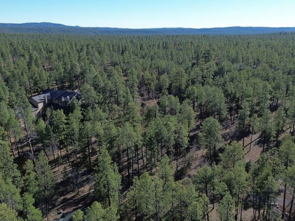 2875 S Timber Pine Lane, Pinetop, AZ 85935