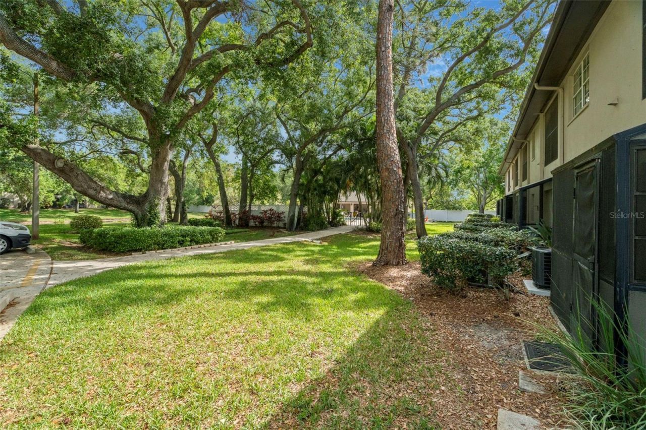 5265 E Bay Drive, Unit 410, Clearwater, FL 33764 Photo