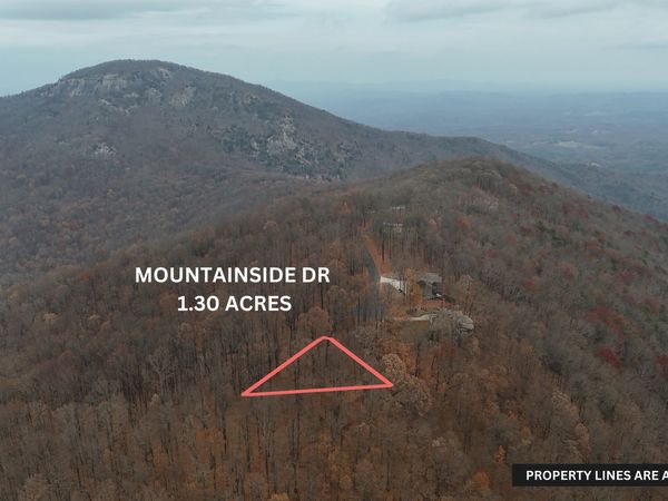 LOT 11 Mountainside Drive, Cleveland, GA 30528