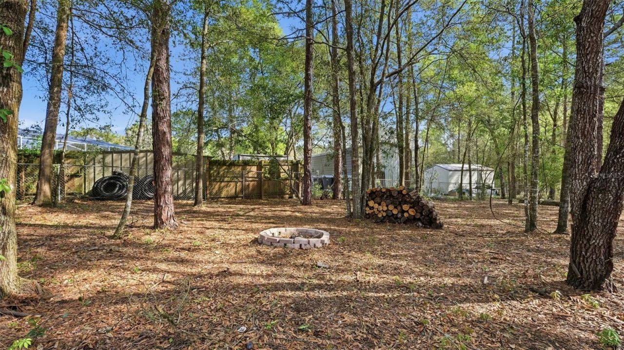 12435 S Canna Point, Floral City, FL 34436 Photo