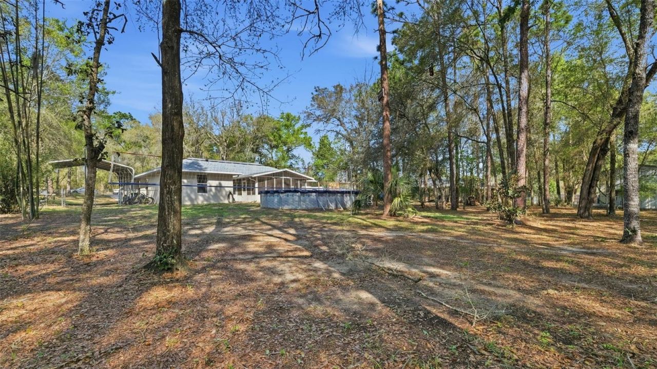 12435 S Canna Point, Floral City, FL 34436 Photo