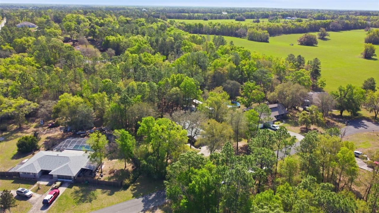 12435 S Canna Point, Floral City, FL 34436 Photo