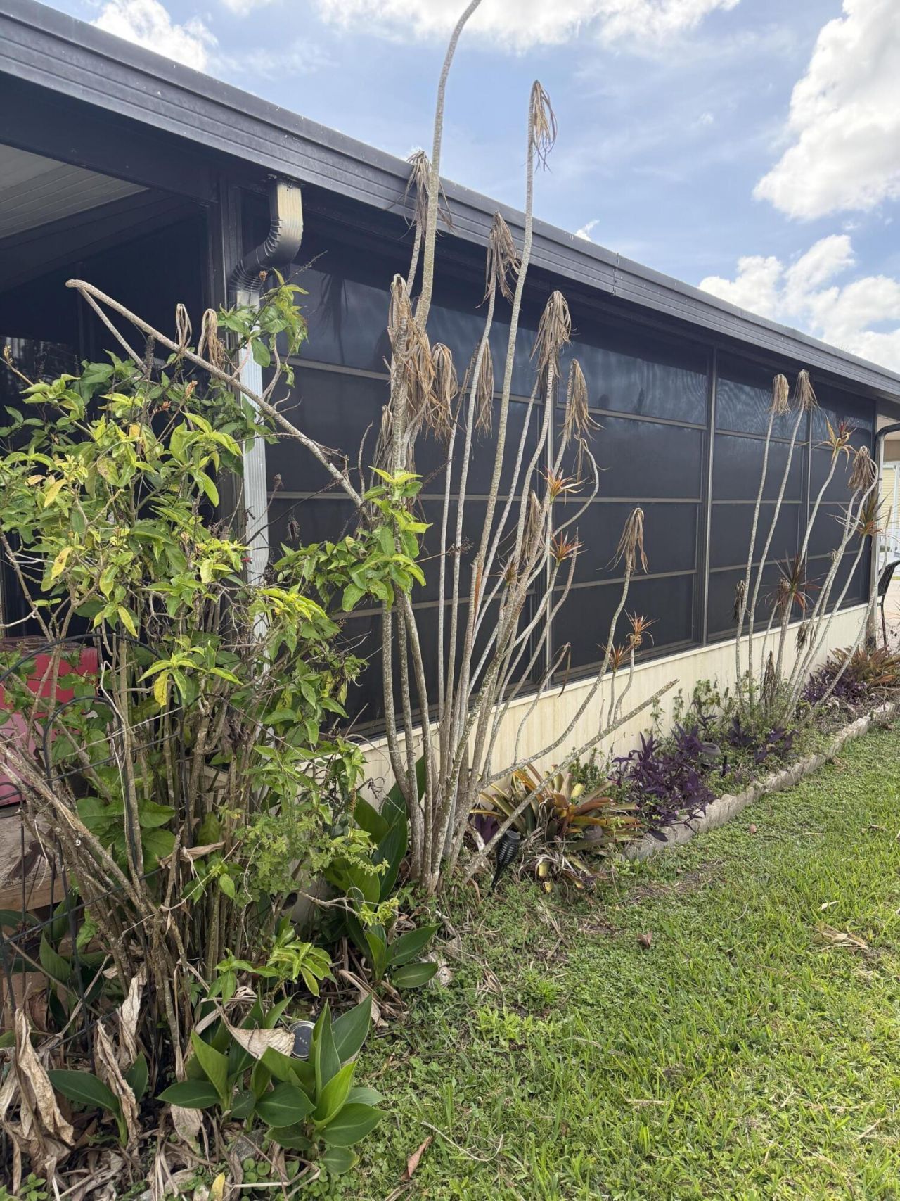 6633 SE 55th Lane, Okeechobee, FL 34974 Photo