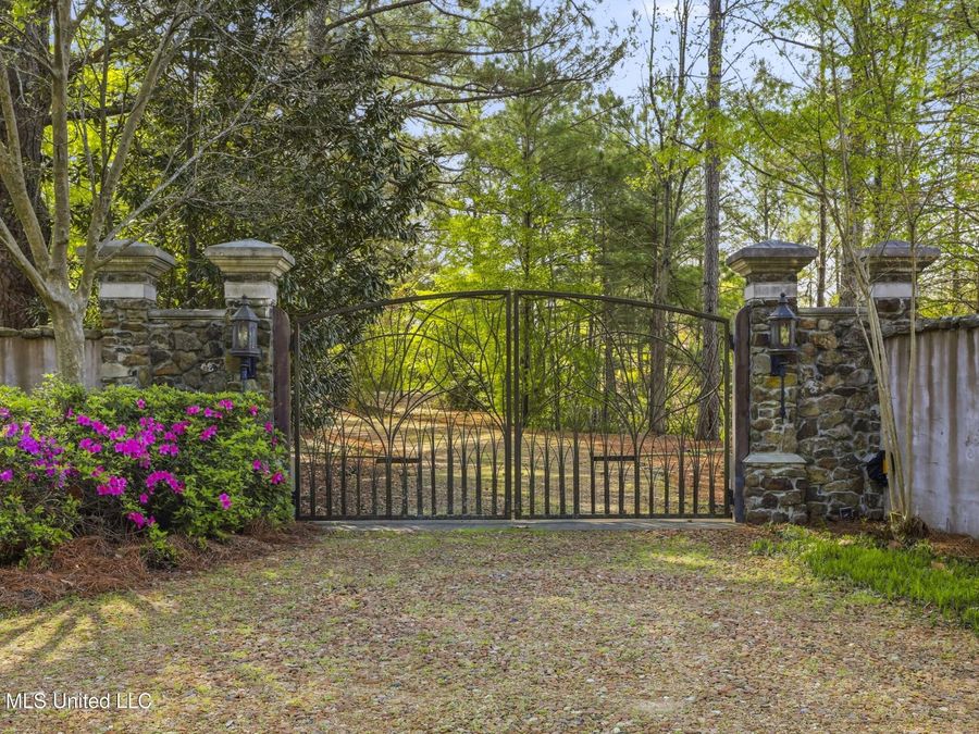 Property Image 61