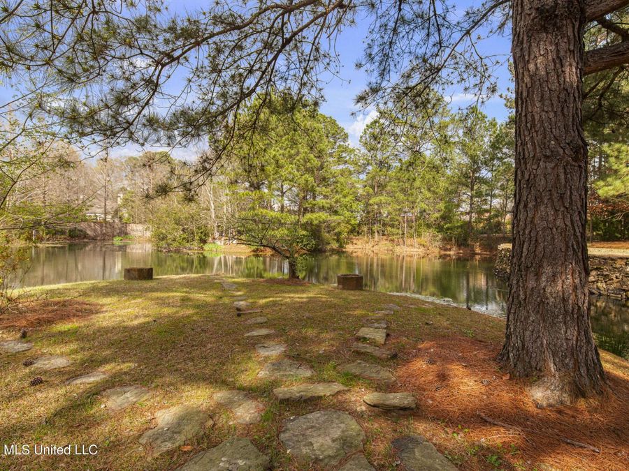Property Image 62
