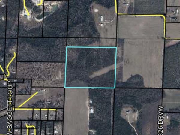32.5 acres NW Gray Road, Clarksville, FL 32430