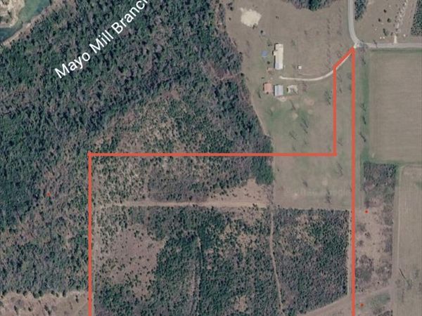 40.5 acres NW Gray Road, Clarksville, FL 32430