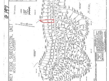 0 Turkey Ridge Road, Unit Lot 40, Wellington, KY 40387