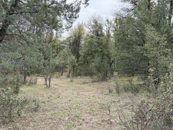 117 N Rifle Barrel Road, Unit 41, Young, AZ 85554