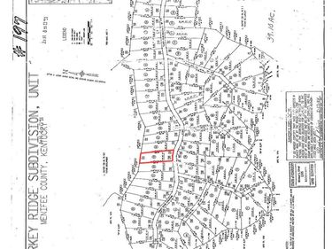 0 Turkey Ridge Road, Unit Lot 49, Wellington, KY 40387