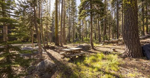 21146 Donner Pass Road, Soda Springs, CA 95728 Photo
