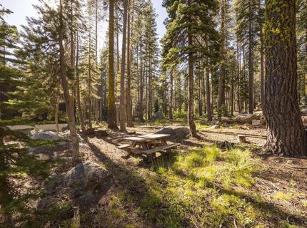 21146 Donner Pass Road, Soda Springs, CA 95728 Photo