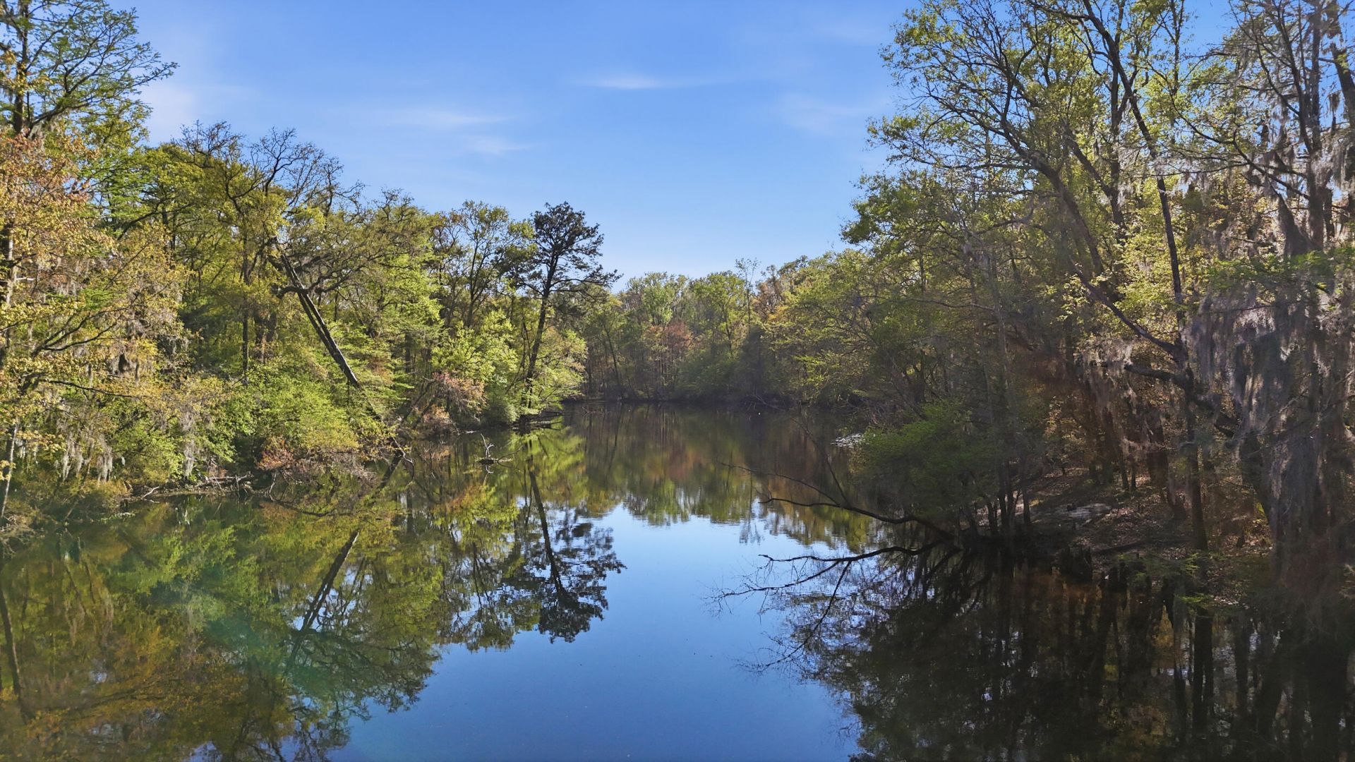 16703 Hendersonville Highway Photo 10