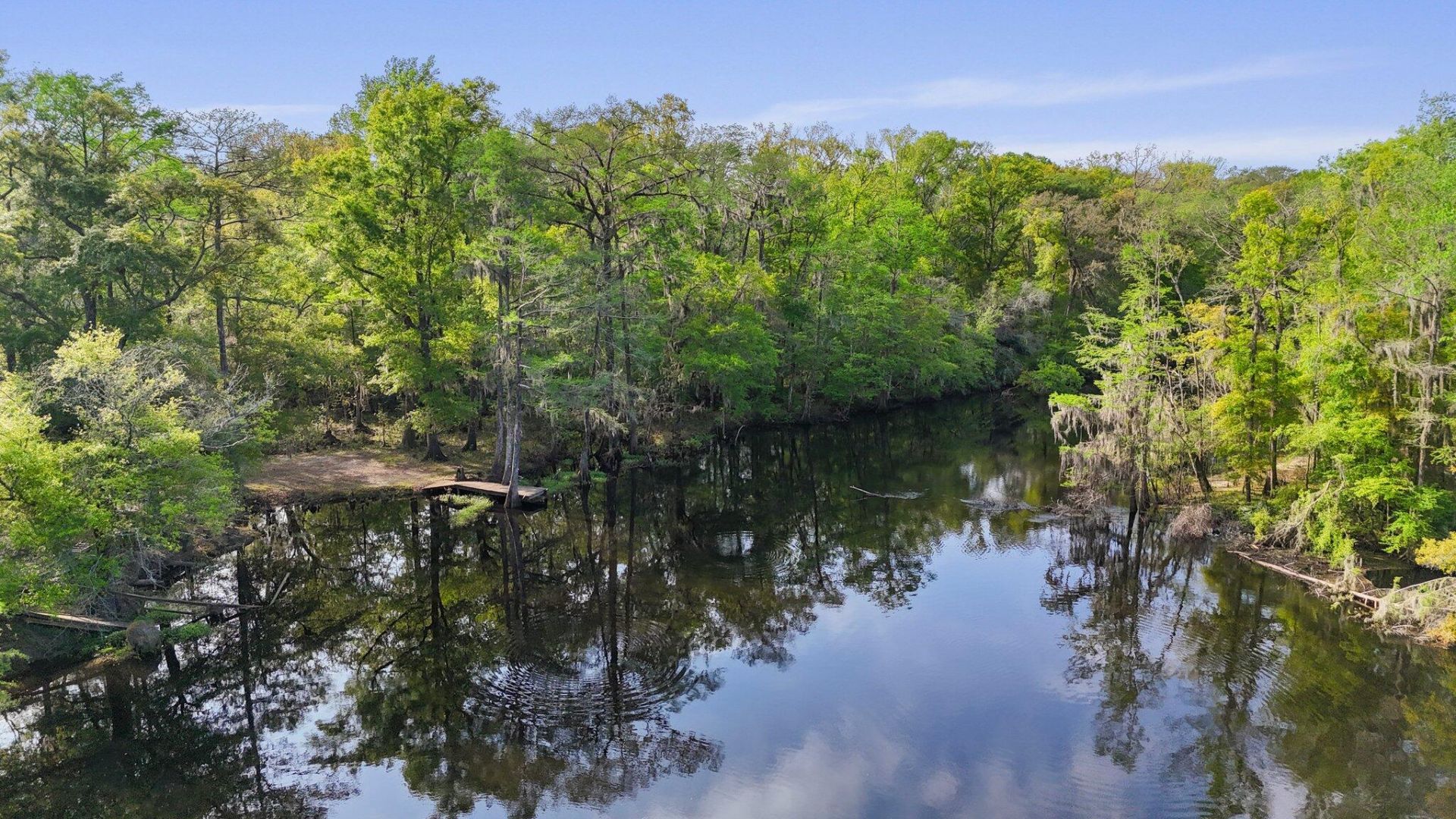 16703 Hendersonville Highway Photo 23