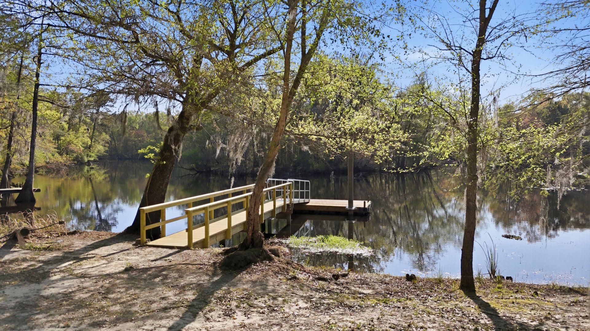 16703 Hendersonville Highway Photo 4