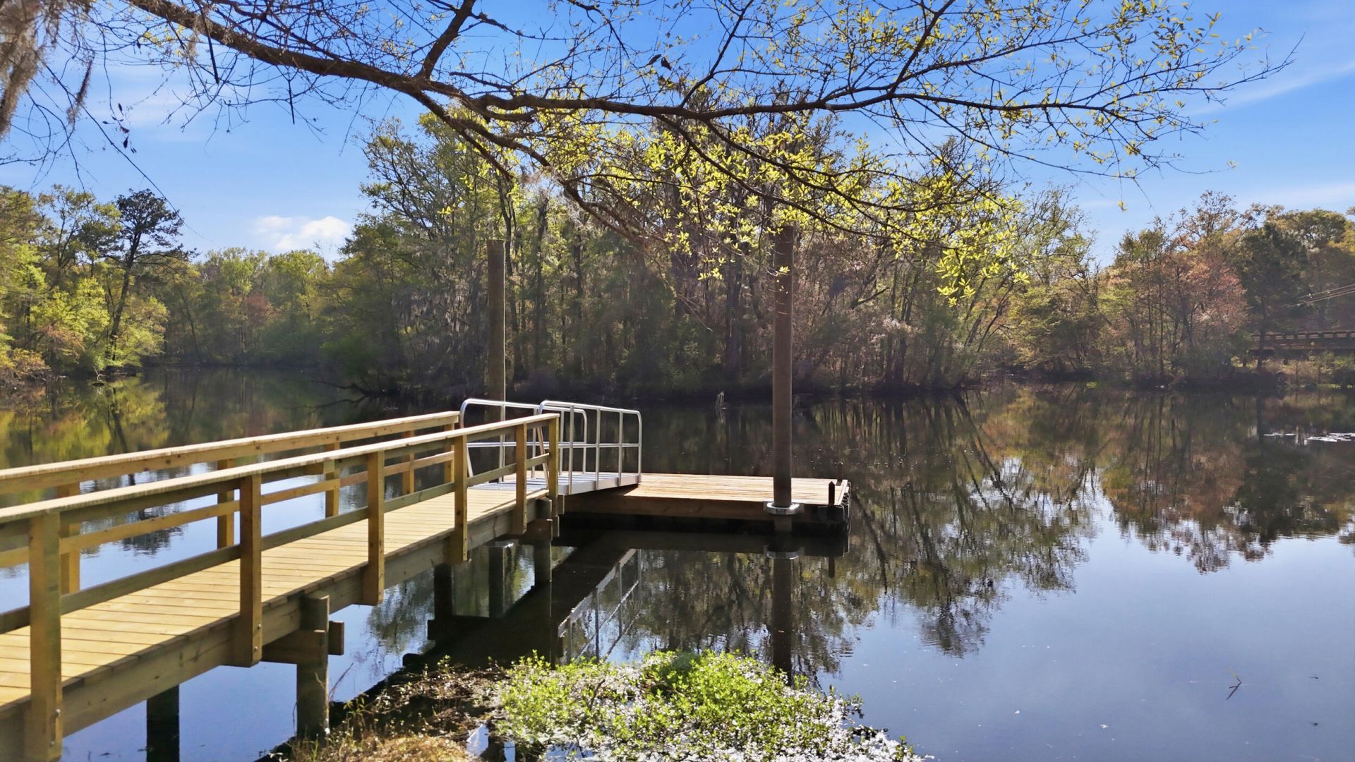 16703 Hendersonville Highway Photo 5