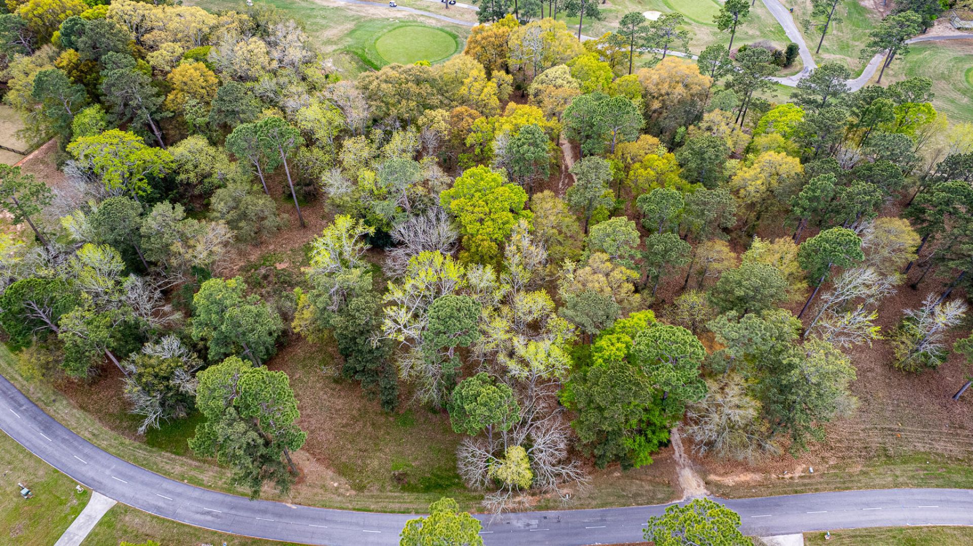 000 Saluda Drive Photo 23