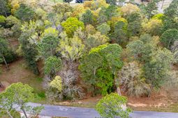 000 Saluda Drive photo 4