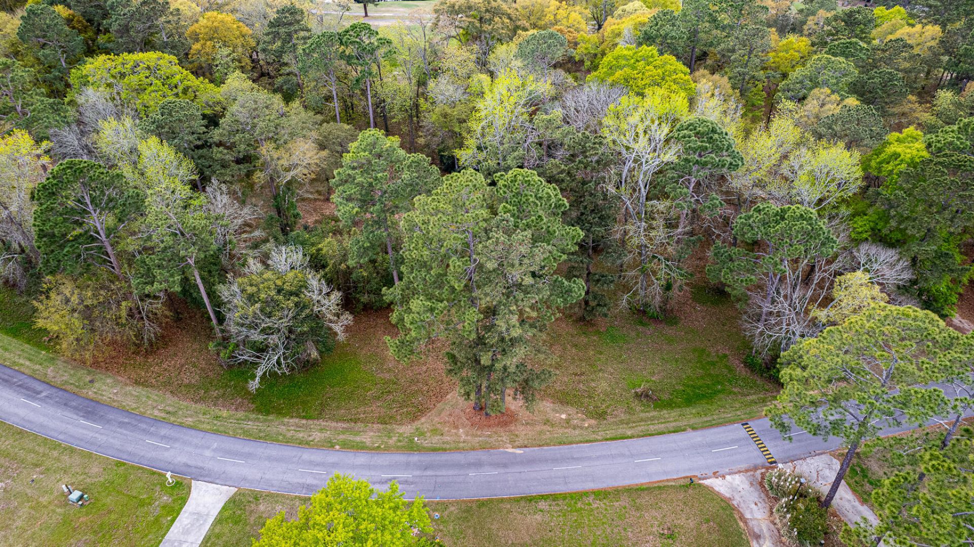 000 Saluda Drive Photo 4