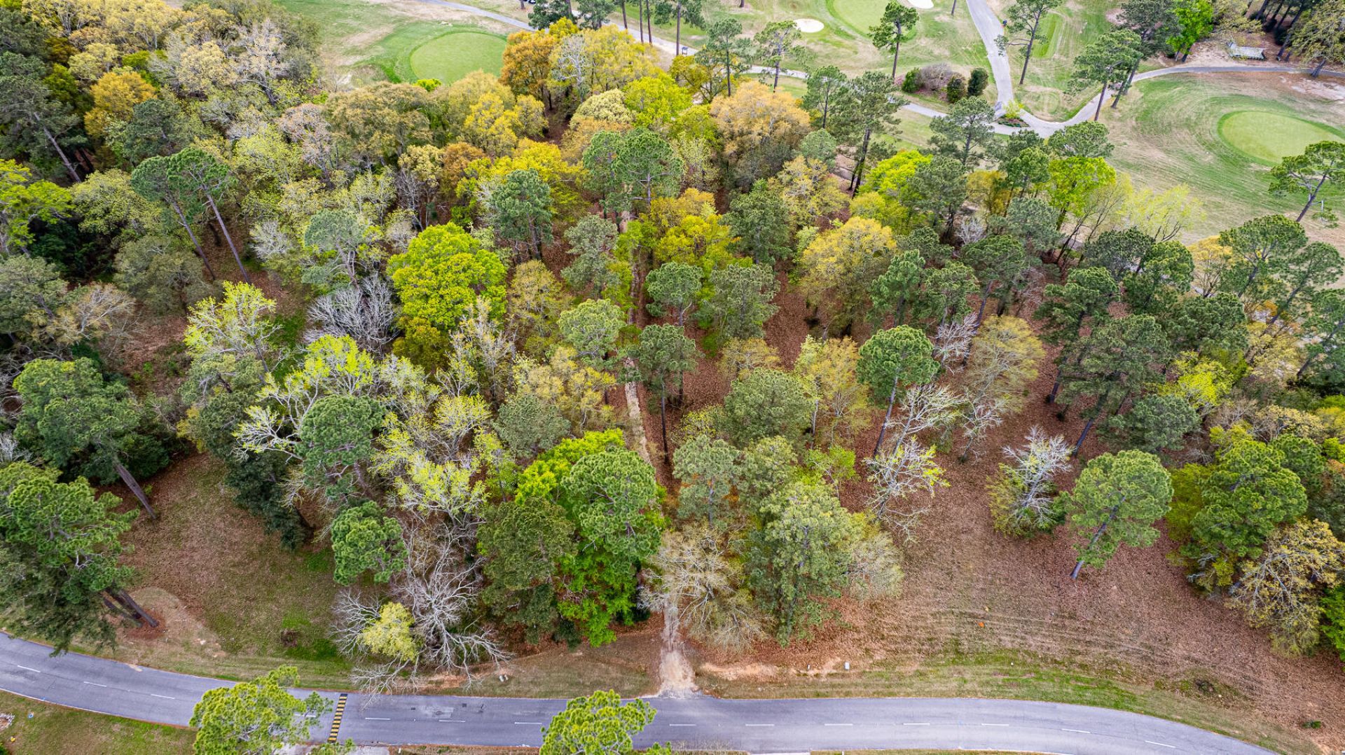 000 Saluda Drive Photo 7