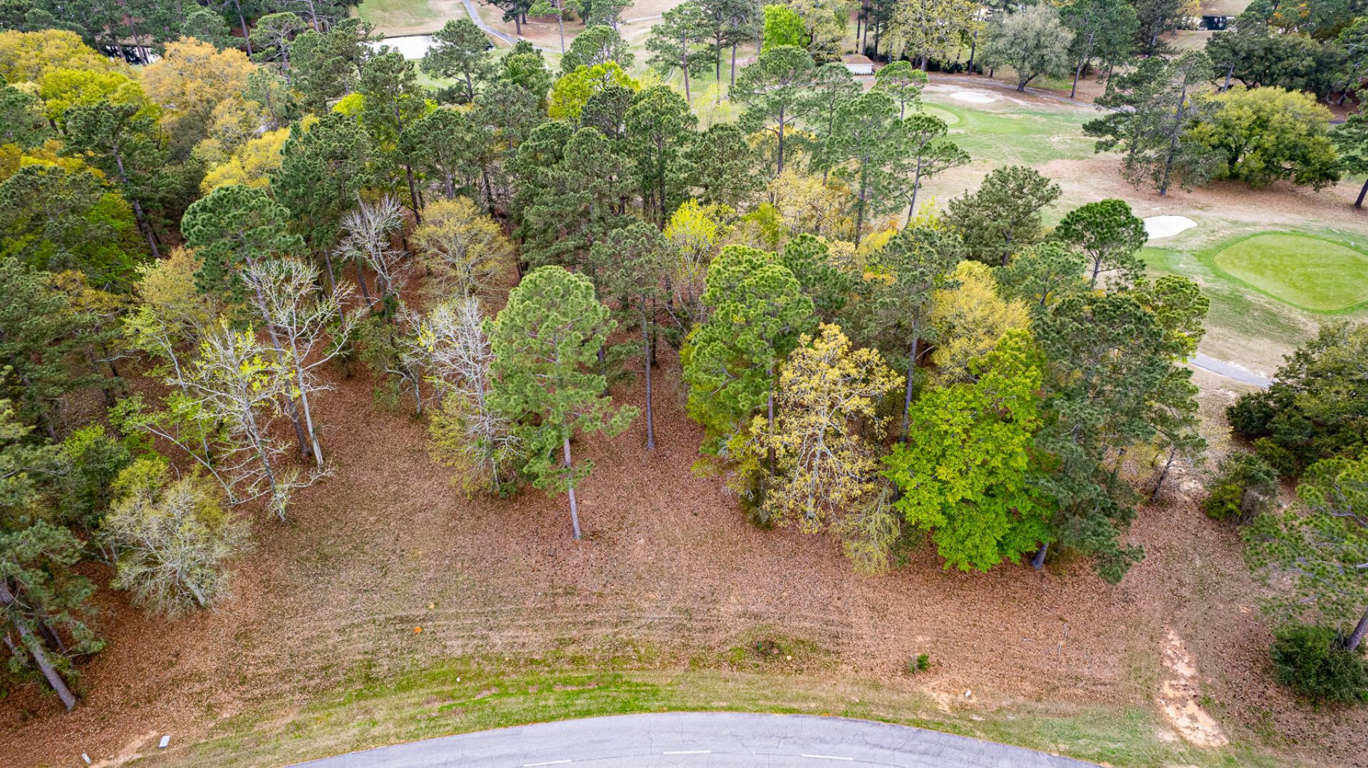 000 Saluda Drive Photo 8