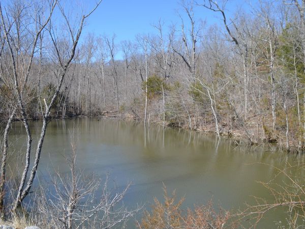 1955 Highview Circle, Bruner, MO 65620