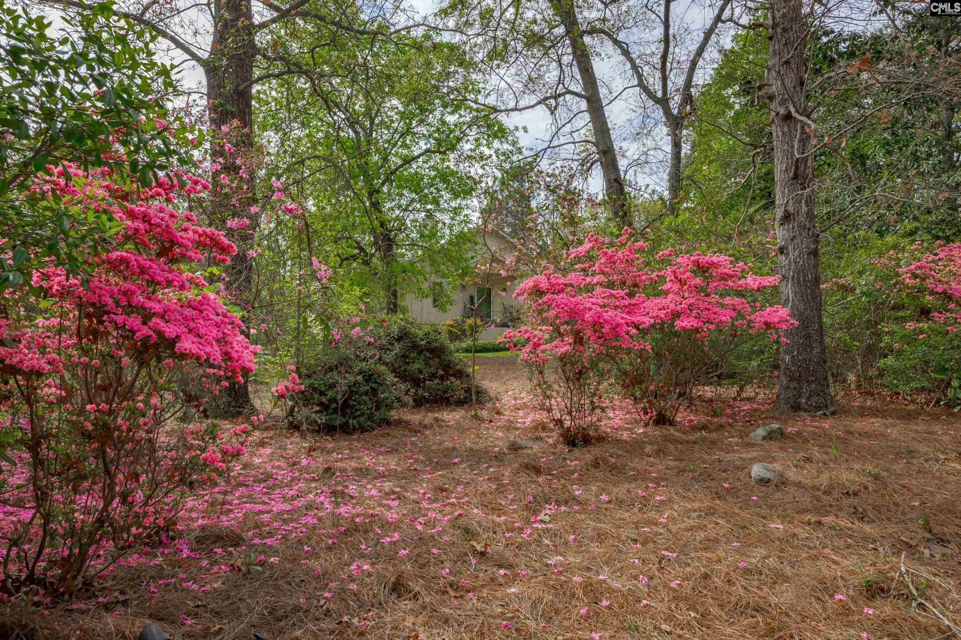 133 Steeplechase North  Photo 5