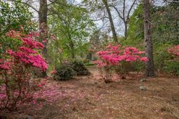 133 Steeplechase North  photo 4