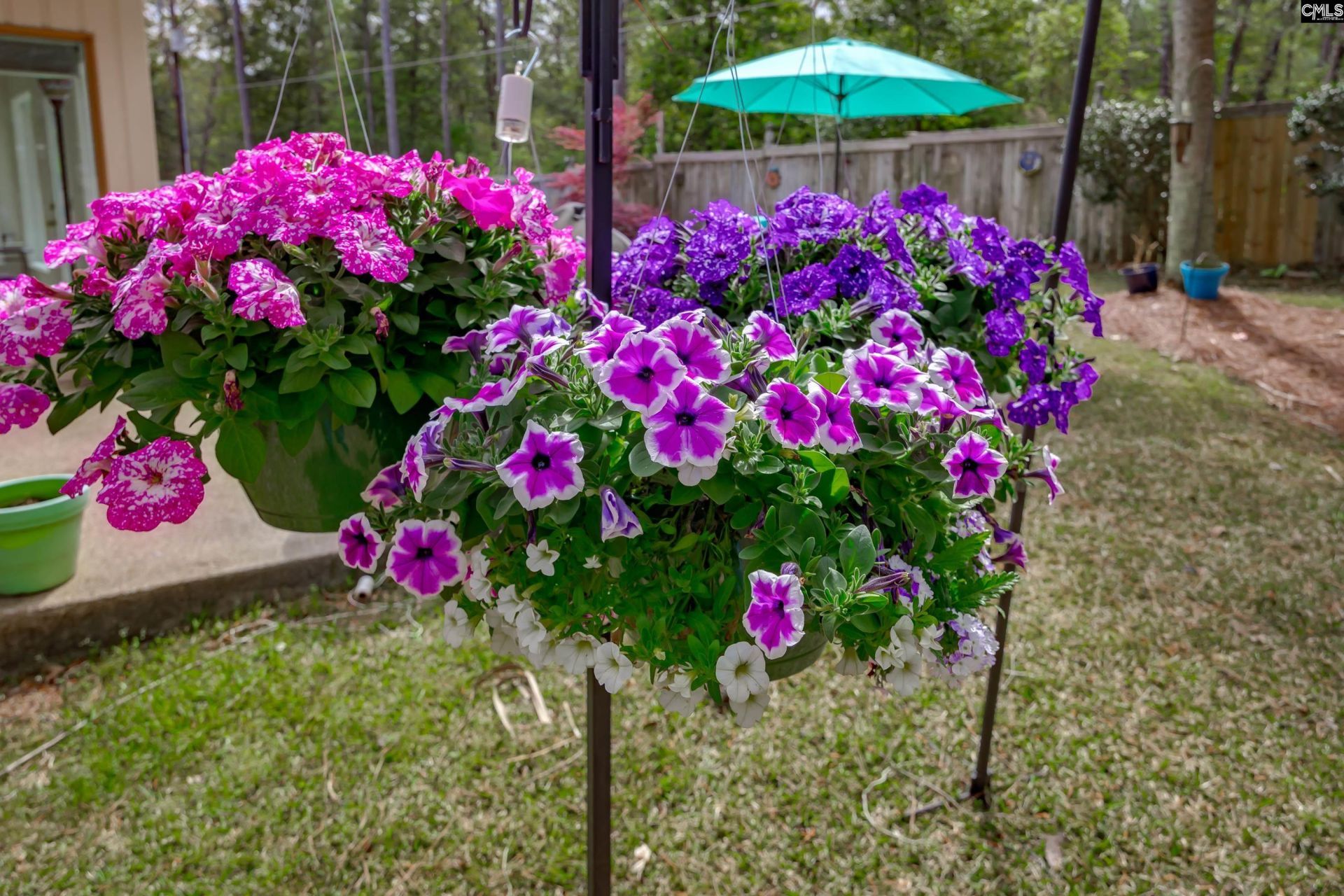 133 Steeplechase North  Photo 72