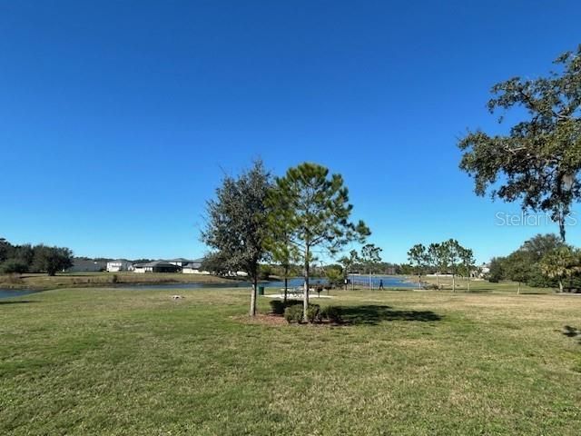 13850 Moosehead Circle, Hudson, FL 34669 Photo