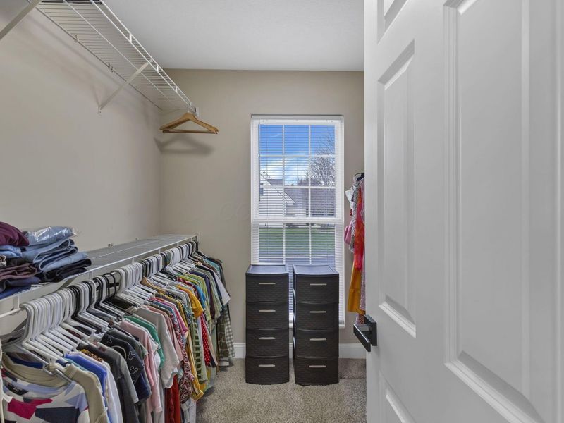 17 Fawn Meadow Court, Powell, OH 43065 Photo 30