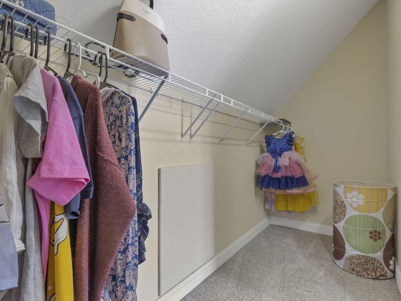 17 Fawn Meadow Court, Powell, OH 43065 Photo 36