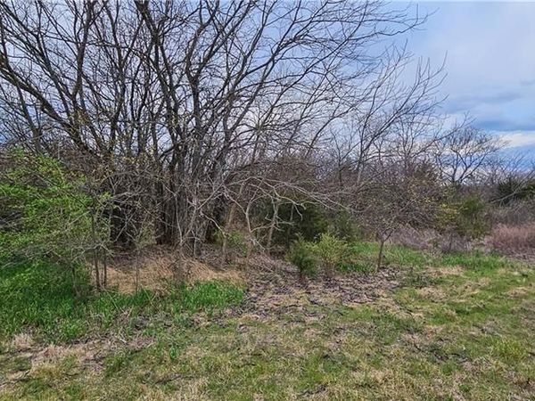S State Route D Highway, Drexel, MO 64742
