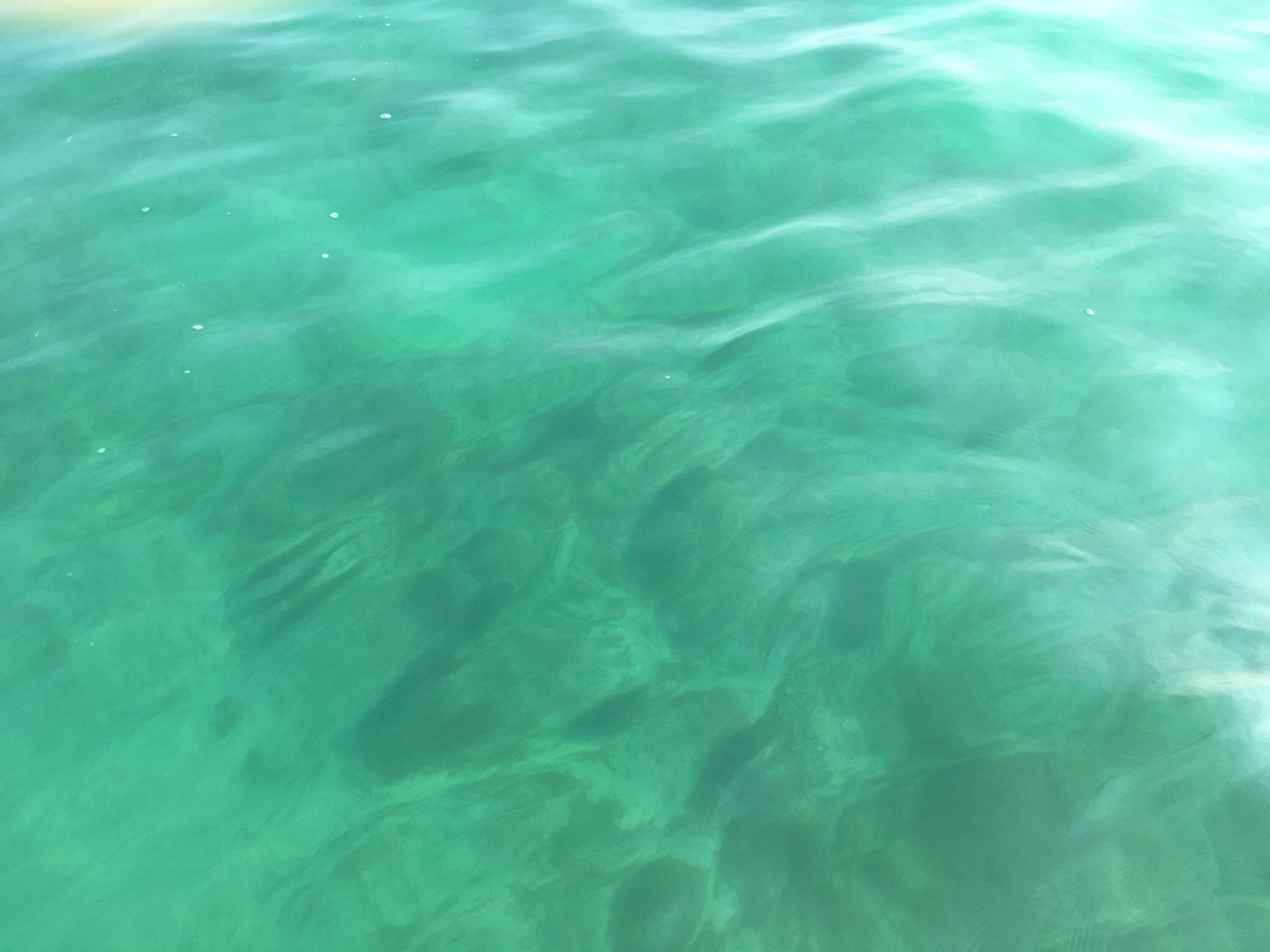 667 E Caribbean Drive, Summerland Key, FL 33042 Photo