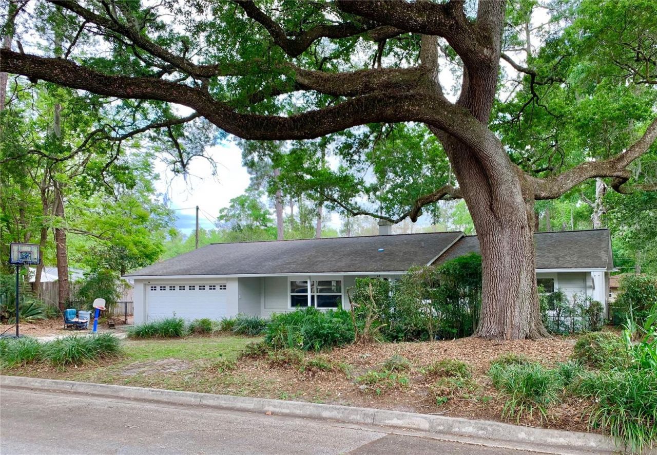 2219 NW 17th Avenue, Gainesville, FL 32605 Photo
