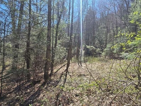 125 Redbud Ln, DANIELS, WV 25832