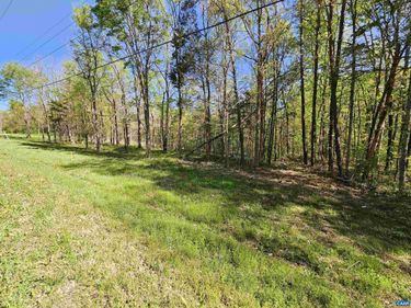 2.273 Ac GRAVEL HILL RD , Dillwyn, VA 23936