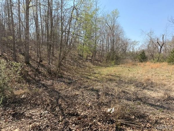 0 Woodland  Hills Road , Poplar Bluff, MO 63901