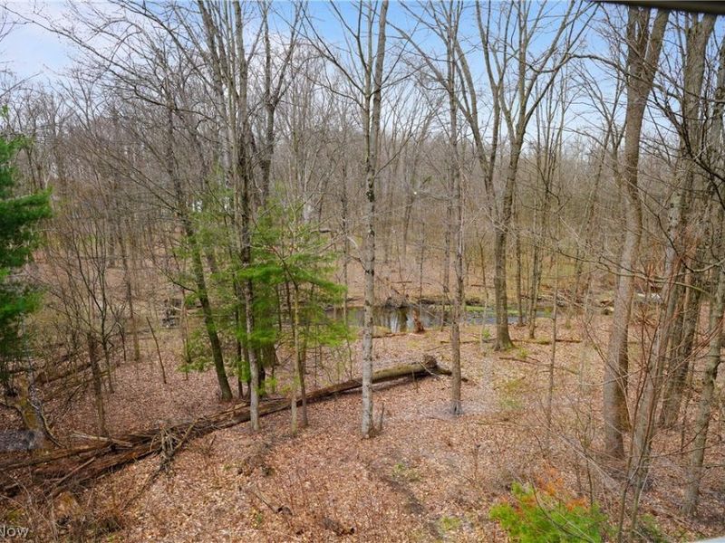 5060 Leffingwell Road , Canfield, OH 44406 Photo 36