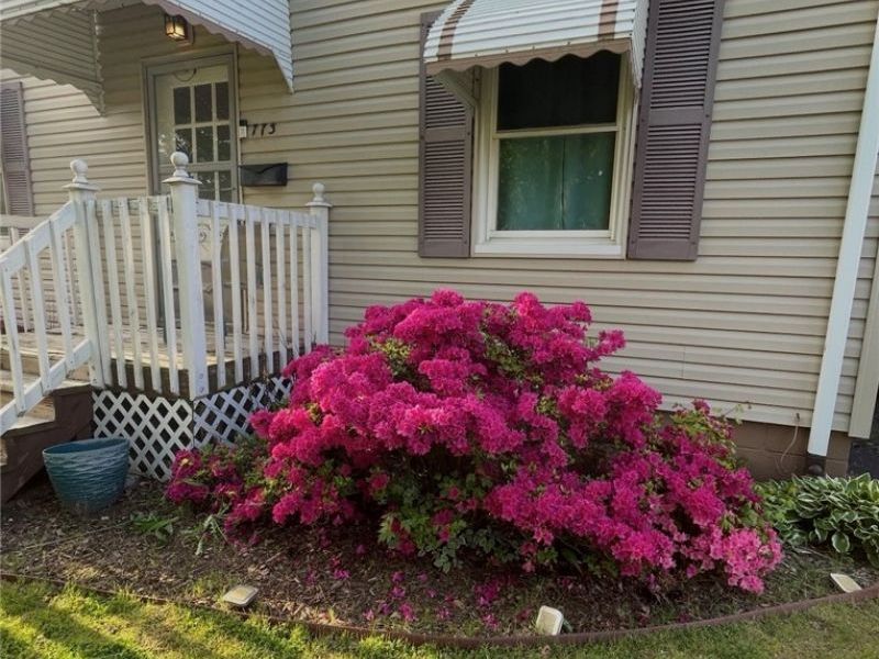 773 Austin Avenue , Akron, OH 44306 Photo 5