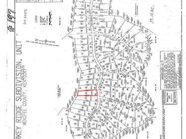 0 Turkey Ridge Road, Unit Lot 50, Wellington, KY 40387