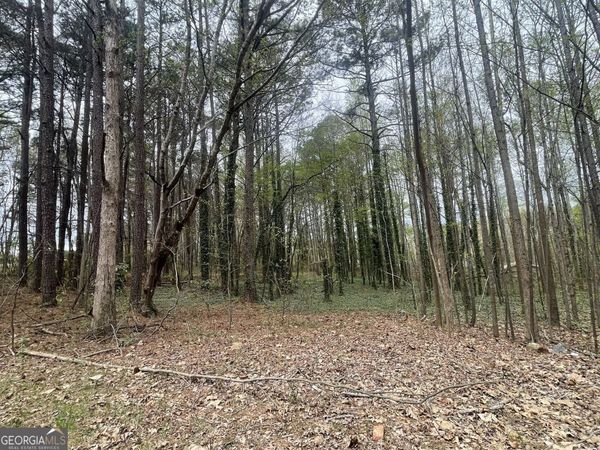 0 Mt Tabor Church Road, Dallas, GA 30157