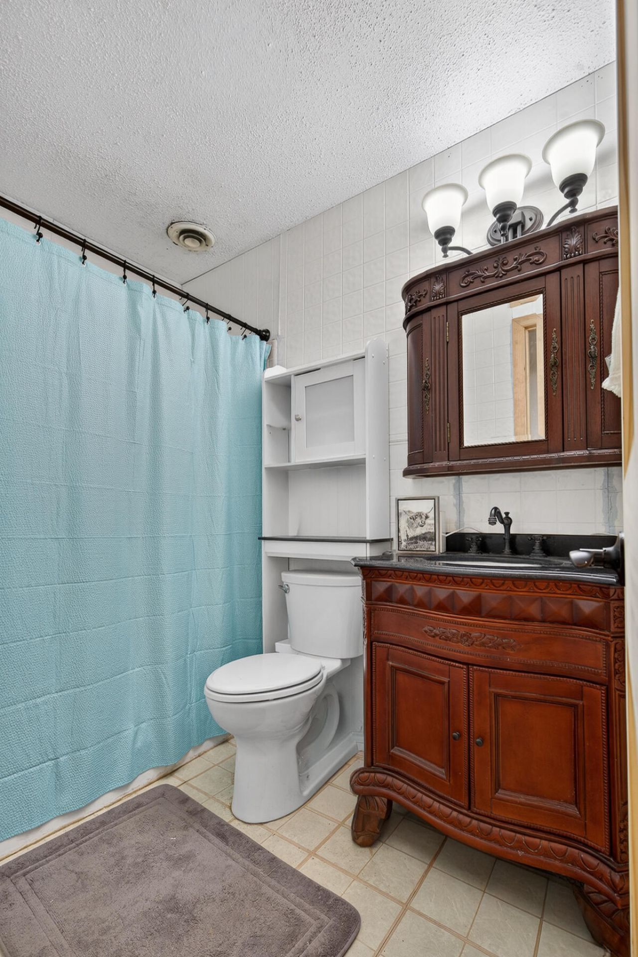 3643 Char-augusta Road Photo 20