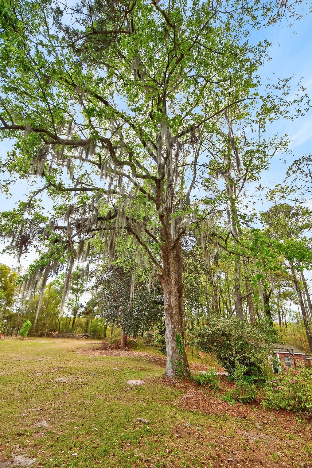 3643 Char-augusta Road Photo 34