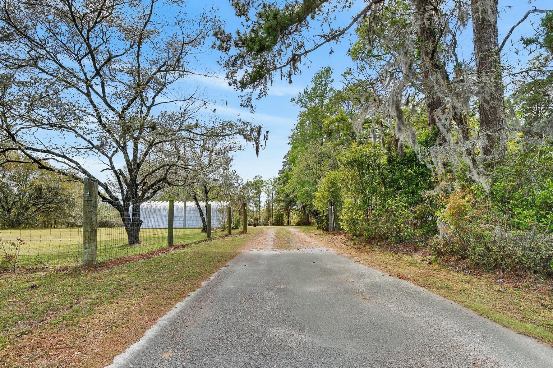 3643 Char-augusta Road Photo 39